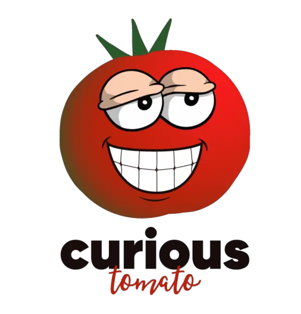 Curious Tomato